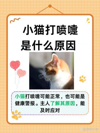 猫咪时不时打喷嚏？猫咪时不时打喷嚏吃什么药（最新）