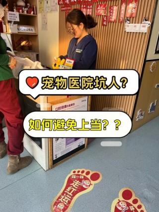 狗狗断甲的好处与坏处？狗狗断甲什么意思（最新）