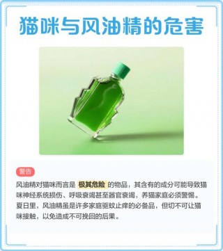 风油精对猫咪有影响吗？风油精会让猫中毒吗（最新）