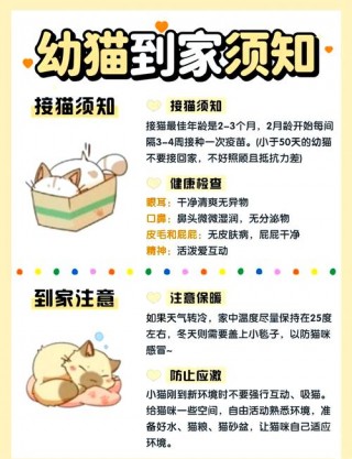 猫咪打疫苗前要驱虫吗，猫咪打疫苗前必须驱虫吗？