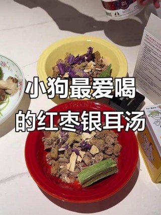 狗狗可以喝银耳汤吗，（狗狗可不可以吃银耳汤）