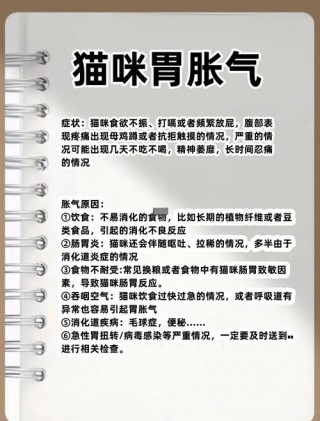 猫咪肚子胀气怎么办，（猫咪肚子胀气怎么办快速解决）