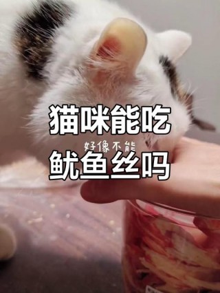 猫咪可以吃鱿鱼丝吗，（猫咪可以吃鱿鱼丝吗,加工过的）