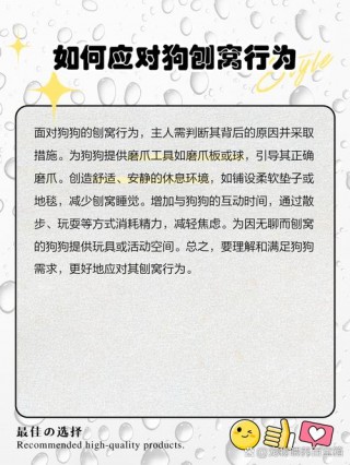 狗狗刨窝是什么意思？狗刨窝是干什么（最新）