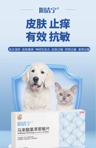 狗狗皮炎吃什么药，狗狗皮炎种类？