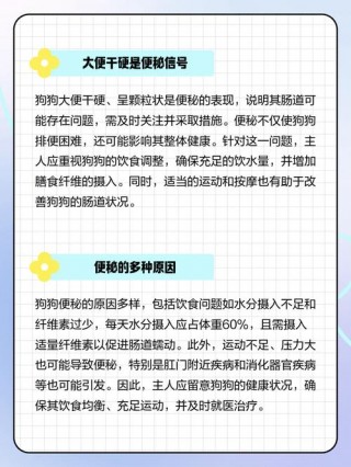 狗狗大便干燥吃什么好，狗便便干吃的什么好?？