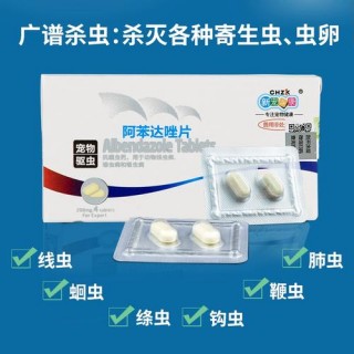 狗狗能吃肠虫清吗？小狗能吃肠虫清吗吃多少（最新）