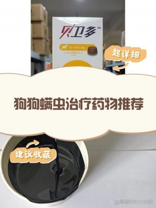 狗狗身上有螨虫用什么药，狗狗身上的螨虫用什么药？