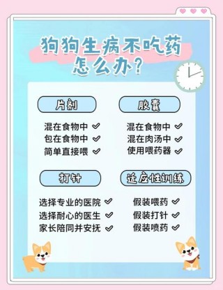 狗狗感冒不吃药会好吗？狗狗感冒不吃药可以吗（最新）