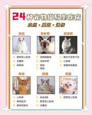 猫咪常见病大全及治疗方法，猫咪常见病症大全？