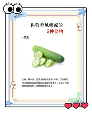 狗狗吃面条好消化吗？狗狗吃面条好消化吗会拉稀吗（最新）