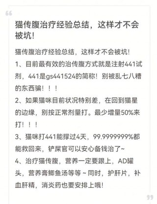 猫咪生化检查多少钱，（猫咪生化检查要空腹吗）