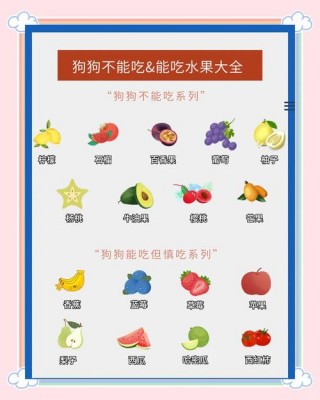 狗狗不能吃的食物？狗狗不吃东西怎么回事（最新）