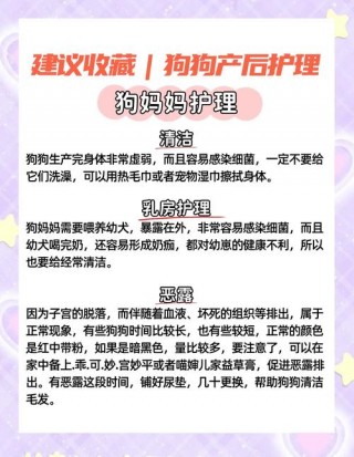 狗狗哺乳期可以洗澡吗，（狗狗哺乳期能不能洗澡）