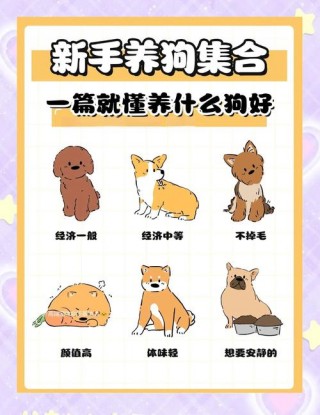 狗狗没食欲怎么办？狗狗没食欲是什么原因（最新）