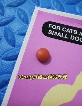 狗狗腹水能治好吗，狗狗腹水一般能活多久？