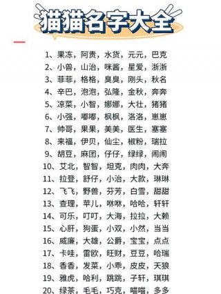 小猫咪名字大全，（小猫的名字萌又洋气的大全）