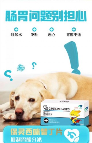 狗狗肠胃不好怎么调理，（狗狗肠胃不好怎么调理吃什么）