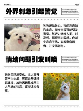 为什么狗狗晚上老是叫？为什么狗狗晚上老是叫唤（最新）