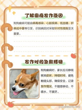 狗狗癫疯病怎么才能治好，狗狗癫疯病什么症状？