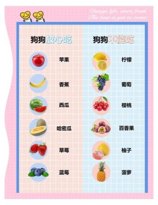 狗狗不可以吃什么水果？狗狗不能吃哪几种水果（最新）