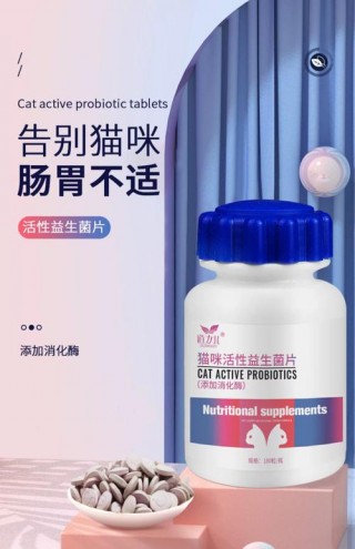 猫咪便秘怎么办啊，（猫咪便秘咋办）