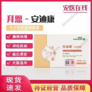 狗狗脑膜炎怎么治疗，（狗狗脑膜炎怎么治疗比较好）
