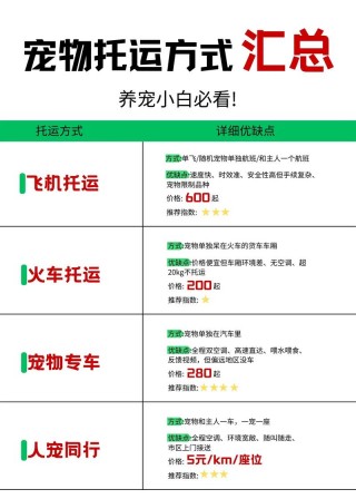 猫咪可以托运吗？猫猫可以托运吗（最新）