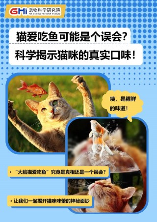 猫咪能吃海鱼吗，猫咪可以吃海鲜鱼吗？