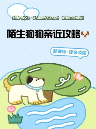 怎样让狗狗喜欢你，怎样让狗喜欢我？