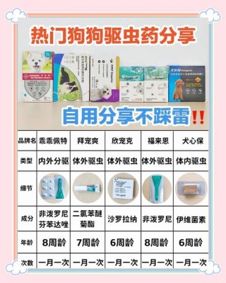狗狗吃完驱虫药多久能吃饭，（狗狗吃完驱虫药多久进食）
