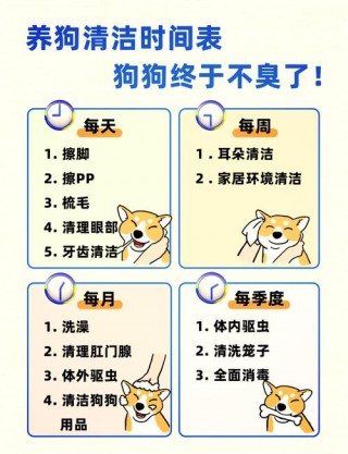 狗狗多久洗一次？狗狗多久洗一次澡正常（最新）