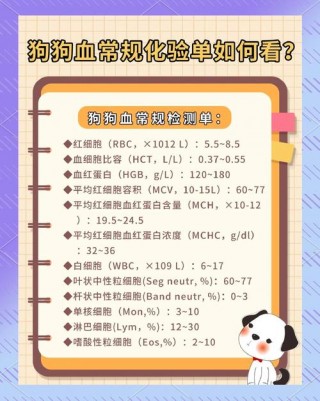 狗狗红细胞低怎么回事，（狗狗红细胞低怎么办）