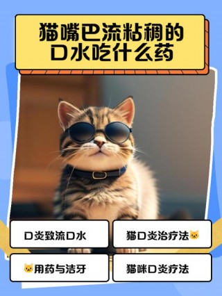 猫咪流口水吃什么药？猫咪流口水怎么治（最新）