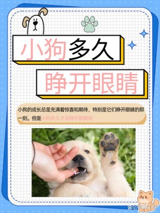 狗狗多久睁眼睛，狗狗多久睁眼睛一次？