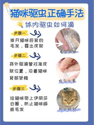 猫咪驱虫怎么做，（猫咪驱虫用什么药好又便宜）