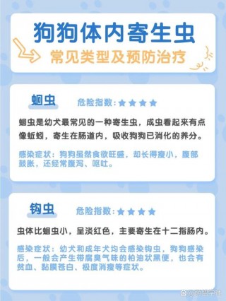 狗狗多久做一次体内驱虫，狗子多久做一次驱虫？