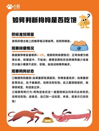 狗狗可以不吃狗粮吗，狗狗可以不吃狗粮吗为什么？