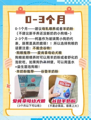 40天的狗狗吃什么？40天的狗狗吃什么益生菌比较好（最新）