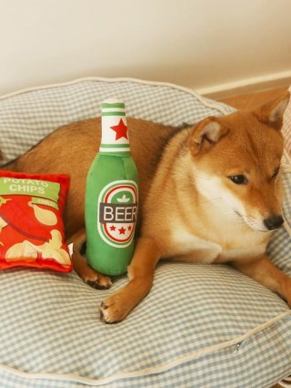 狗狗能吃可乐鸡翅吗，狗狗可以喝可乐鸡翅吗？