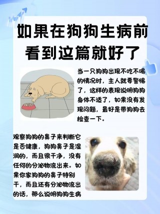 狗狗不舒服的表现有哪些，狗狗不舒服怎么自救？