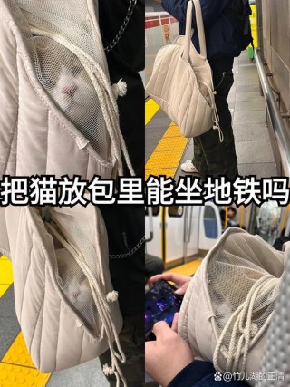 猫咪可以上地铁吗？猫咪可以上地铁吗广州（最新）