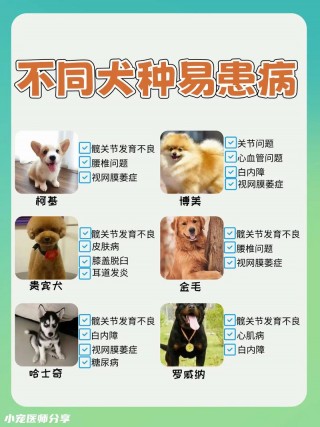 狗狗容易生病吗？狗狗很容易得病吗（最新）