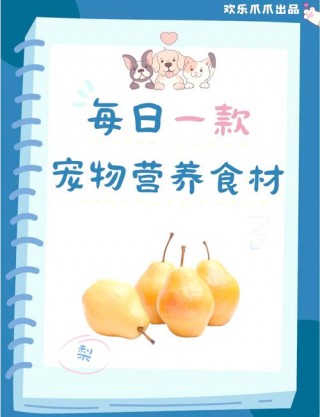 猫咪能吃梨子吗，（猫能吃梨么）