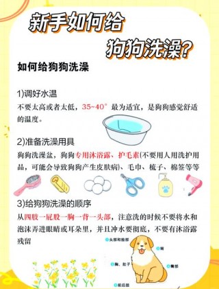 给狗狗洗澡用什么，给狗狗洗澡用什么沐浴露？