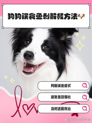 狗狗吃鱼刺会有事吗？狗吃鱼刺会不会有危险（最新）