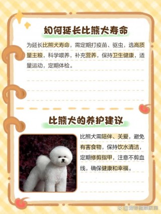 狗狗的平均寿命多少年，（狗狗的平均寿命多少年啊）