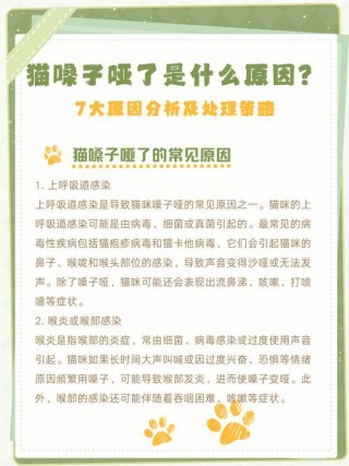 猫咪嗓子叫哑了，（猫咪嗓子叫哑了吃什么药）