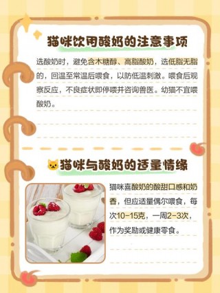 猫咪能喝酸奶吗？猫咪前十禁忌食物（最新）