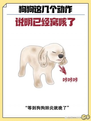 狗狗咳嗽干呕能自愈吗？狗狗干呕最快解决方法（最新）